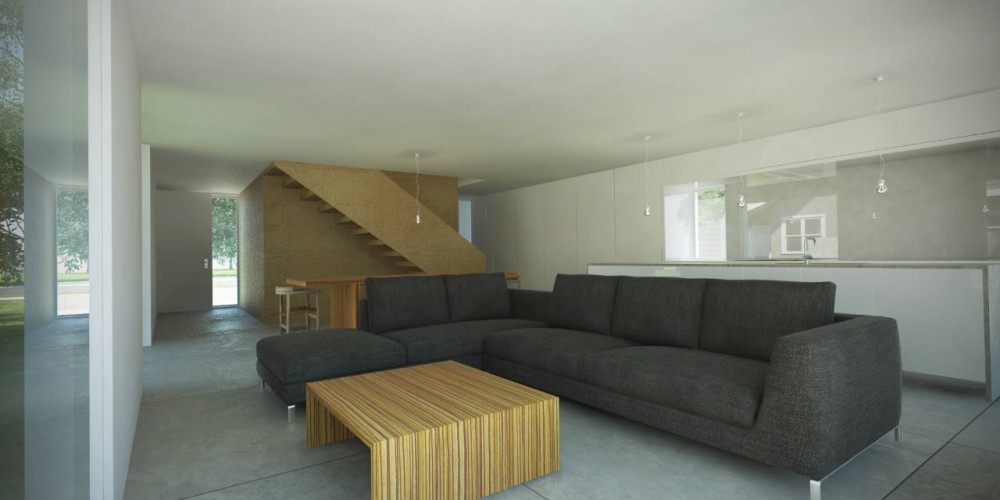 INFILL / John Dwyer Architect