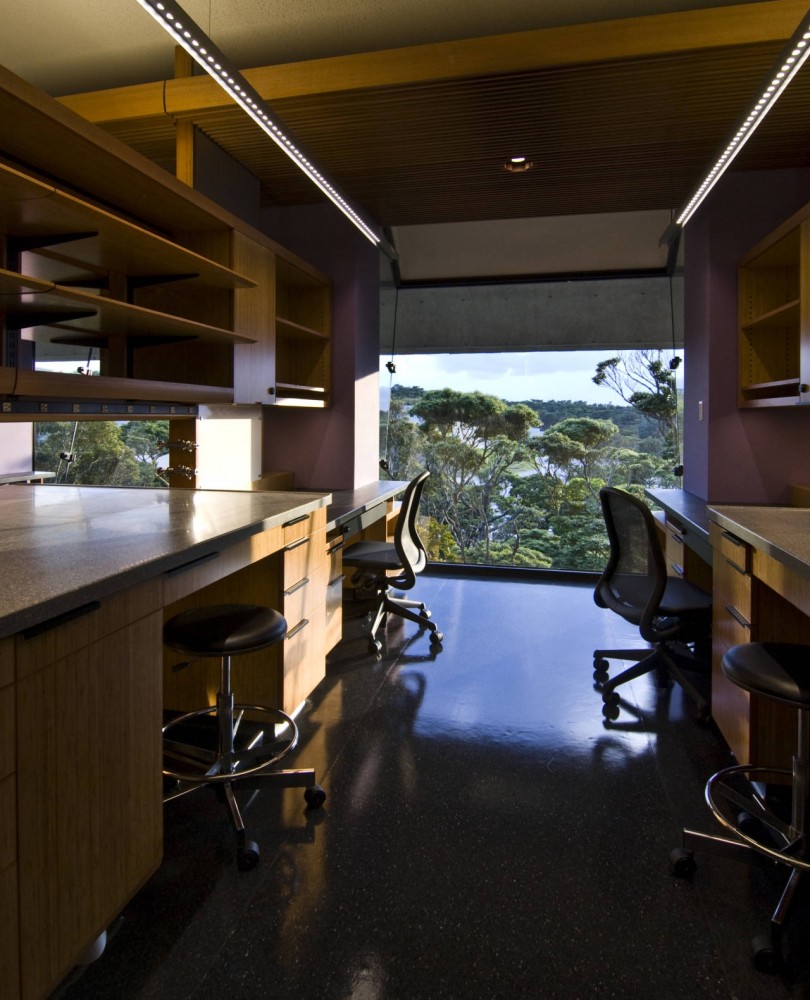 Okinawa Institute of Science & Technology / Nikken Sekkei + Kornberg Associates + Kuniken
