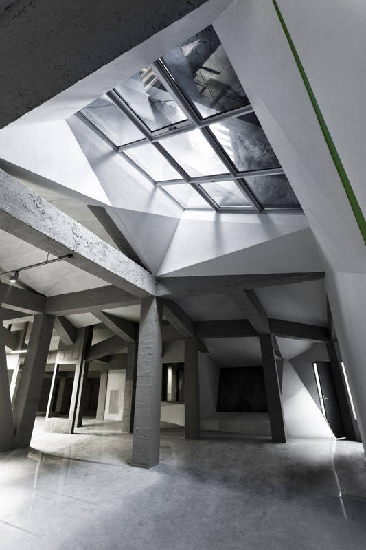 The Metamorphosis of the Great Rock / PLANT – Atelier Peter Kis