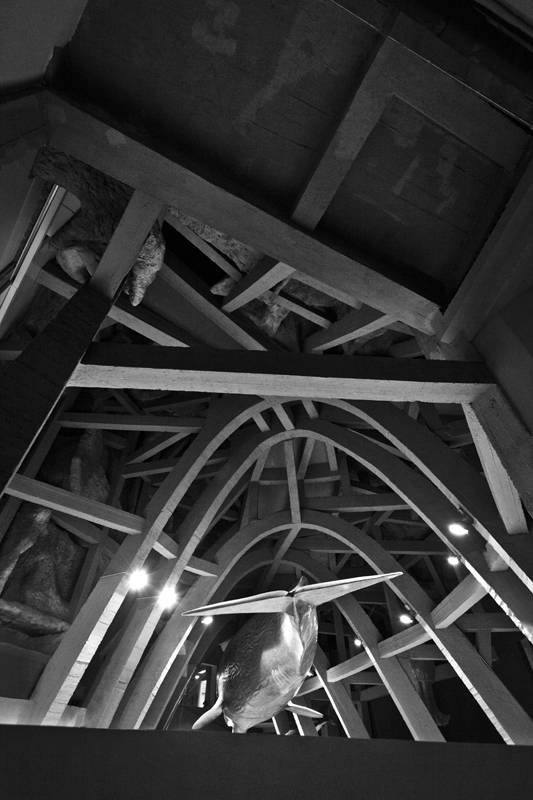 The Metamorphosis of the Great Rock / PLANT – Atelier Peter Kis