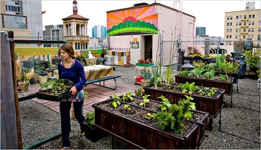 Urban Agriculture: Designing Out the Distance Between You And Your ...