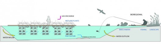 'Water Memory' - Rethinking Shanghai Competition Proposal (6)