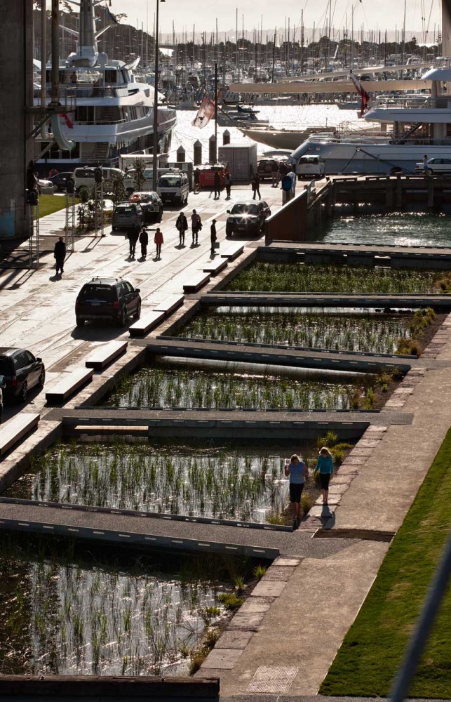 Jellicoe Harbour and Silo Park / Taylor Cullity Lethl​ean, Wraight + Associates