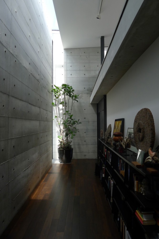 The Bamboo Curtain House / Eco-id Architects