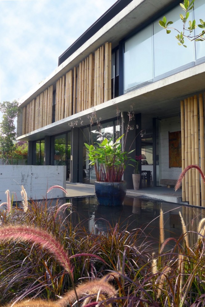The Bamboo Curtain House / Eco-id Architects