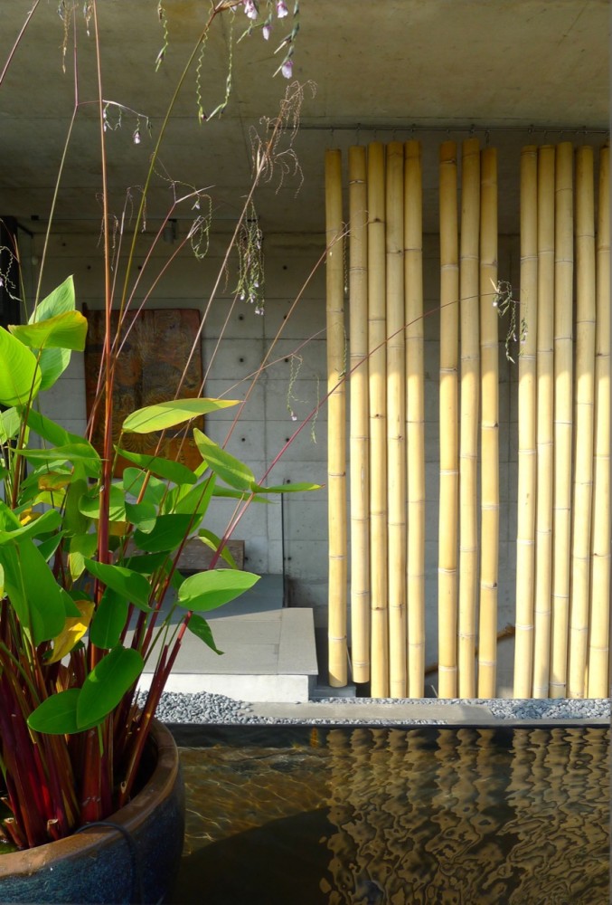 The Bamboo Curtain House / Eco-id Architects