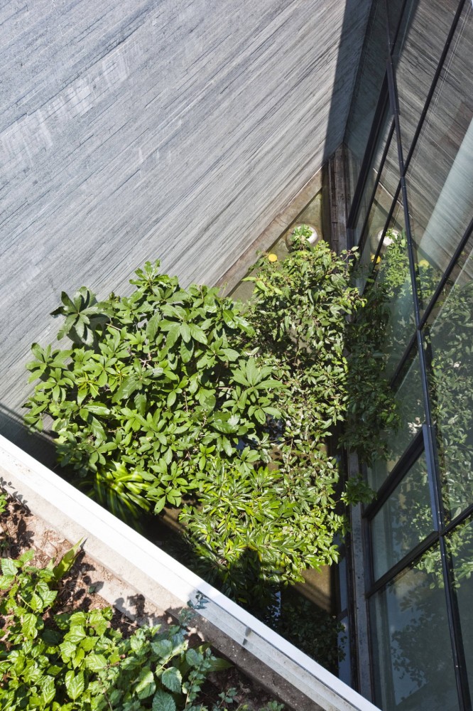 Gia Lai House / Vo Trong Nghia Architects