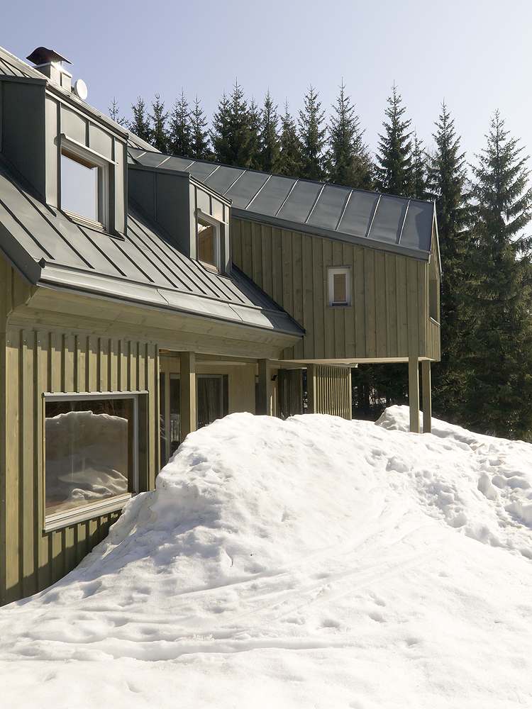 House on the Marsh / A1 Architects