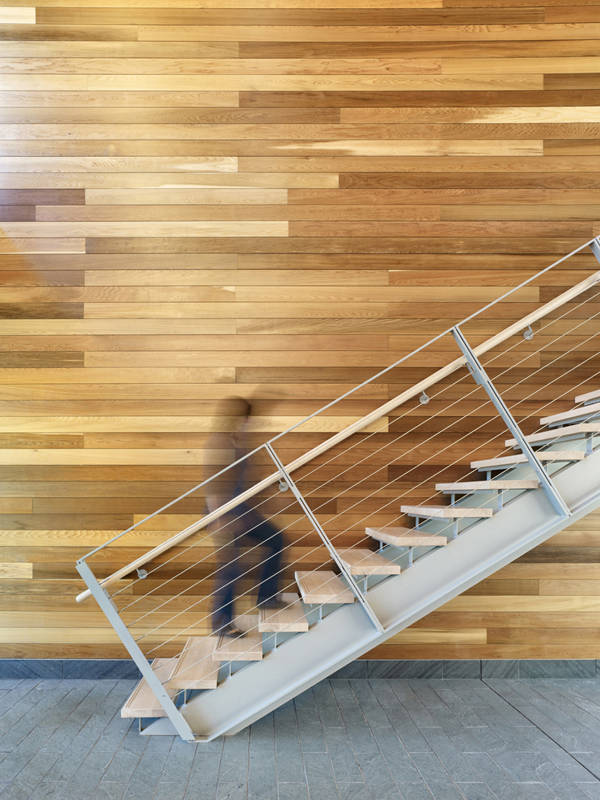 SUNY / Perkins Eastman