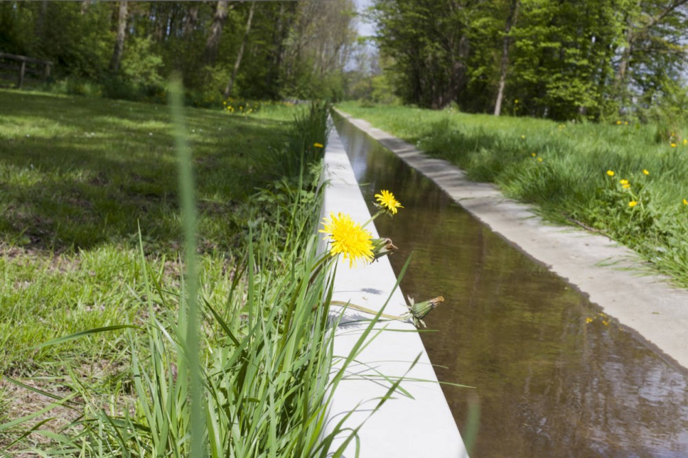 Disappeared Stream Back in Wijkeroogpark / Bureau B&B