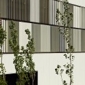 Kindergarden, Primary and Secondary School "Les Vinyes" (7) © Eugeni Pons