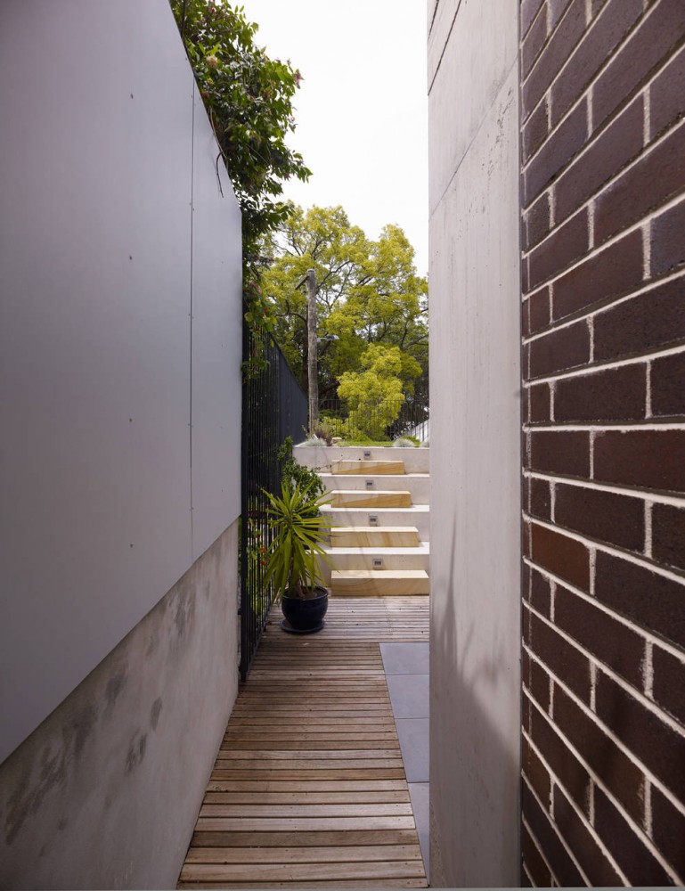 Balmain House / Carter Williamson Architects