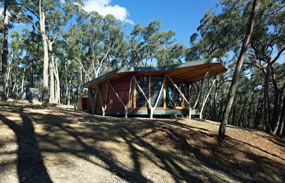 Trunk House / Paul Morgan Architects