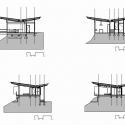 section section