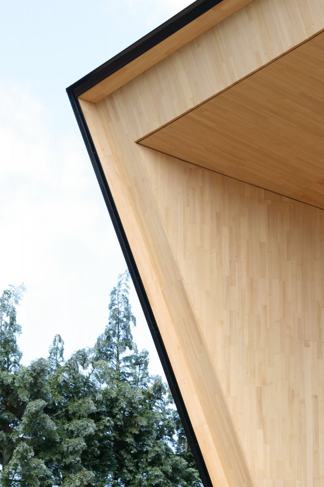 Interview: Krogmann Headquarters / Despang Architekten