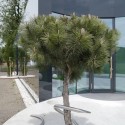 PARKPRAXIS / x architekten PARKPRAXIS / x architekten © x architekten