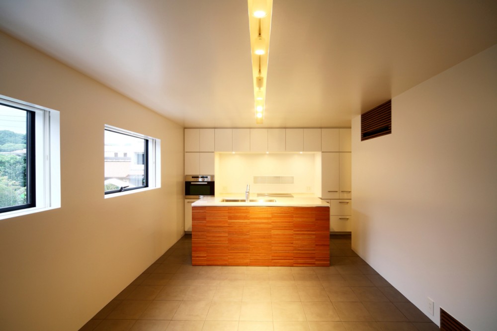 House in Senri / Shogo Iwata