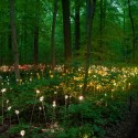 Impresionantes Bruce Munro Instalaciones LED iluminan los jardines de Longwood (15) Impresionantes Bruce Munro Instalaciones LED iluminan los jardines de Longwood (15) Cortesía de Bruce Munro
