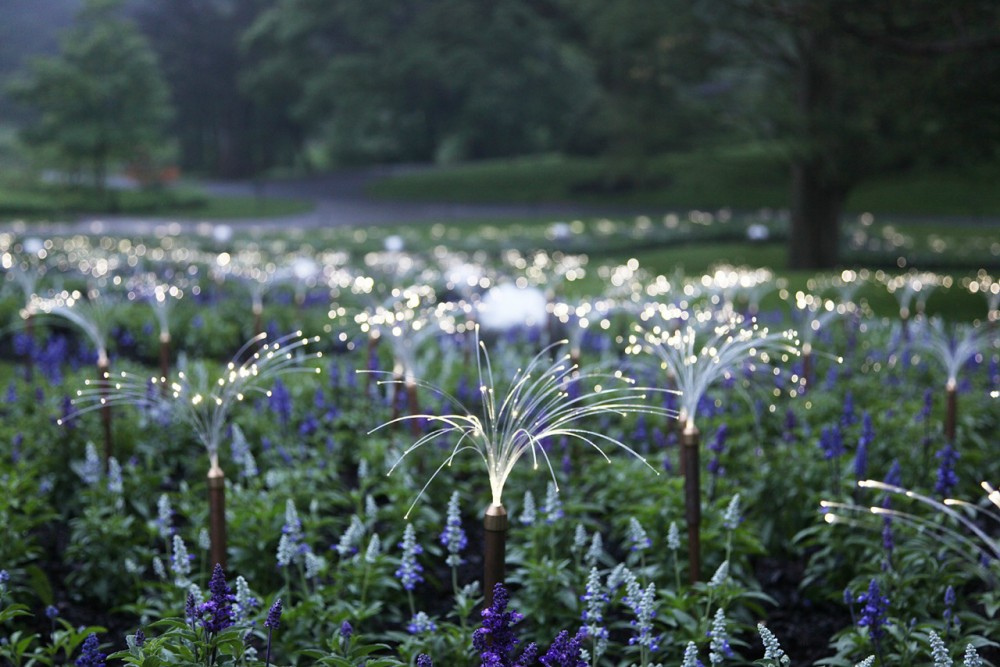 Bruce Munro’s stunning LED Installations light up Longwood Gardens