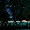 Impresionantes Bruce Munro Instalaciones LED iluminan los jardines de Longwood (11) Impresionantes Bruce Munro Instalaciones LED iluminan los jardines de Longwood (11) Cortesía de Bruce Munro