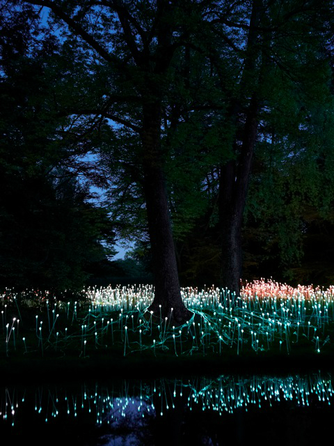 Bruce Munro’s stunning LED Installations light up Longwood Gardens