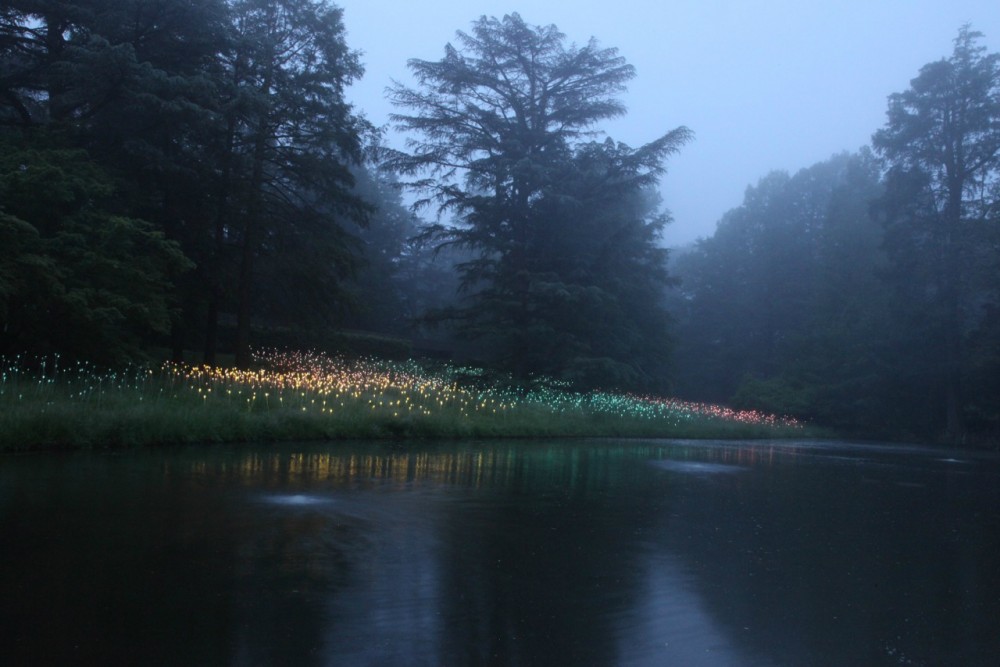 Bruce Munro’s stunning LED Installations light up Longwood Gardens