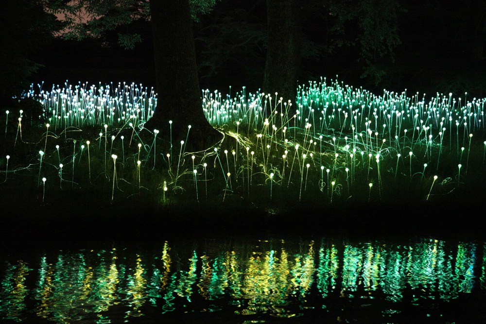 Bruce Munro’s stunning LED Installations light up Longwood Gardens