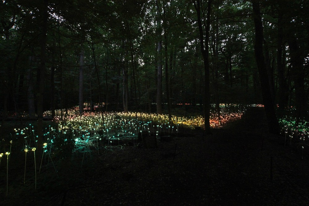 Bruce Munro’s stunning LED Installations light up Longwood Gardens