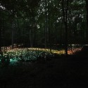 Impresionantes Bruce Munro Instalaciones LED iluminan los jardines de Longwood (22) Impresionantes Bruce Munro Instalaciones LED iluminan los jardines de Longwood (22) Cortesía de Bruce Munro