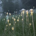 Impresionantes Bruce Munro Instalaciones LED iluminan los jardines de Longwood (20) Impresionantes Bruce Munro Instalaciones LED iluminan los jardines de Longwood (20) Cortesía de Bruce Munro