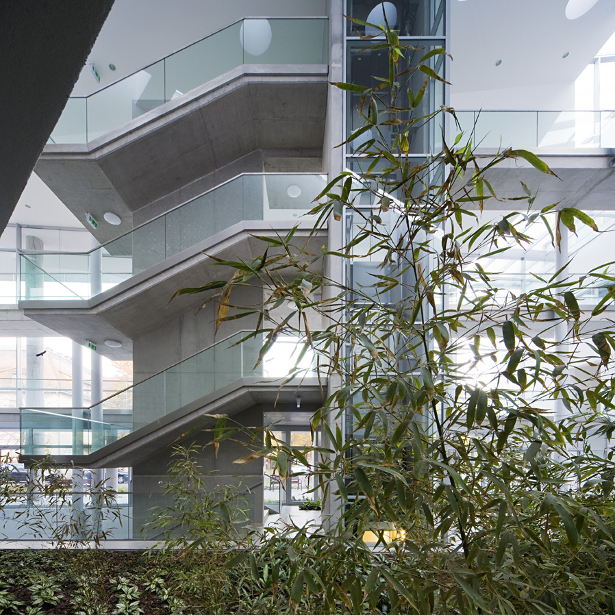 In Vitro Diagnostic Centre / Peter Kovacs DLA + Istvan Lengyel