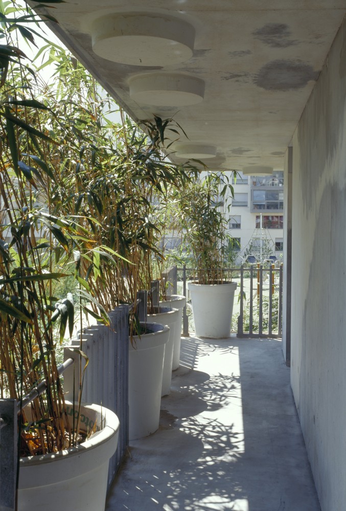 Flashback: Tower Flower / Edouard François