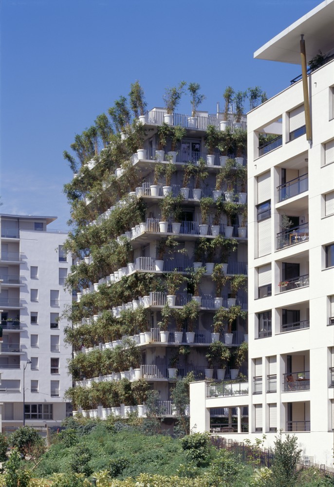 Flashback: Tower Flower / Edouard François