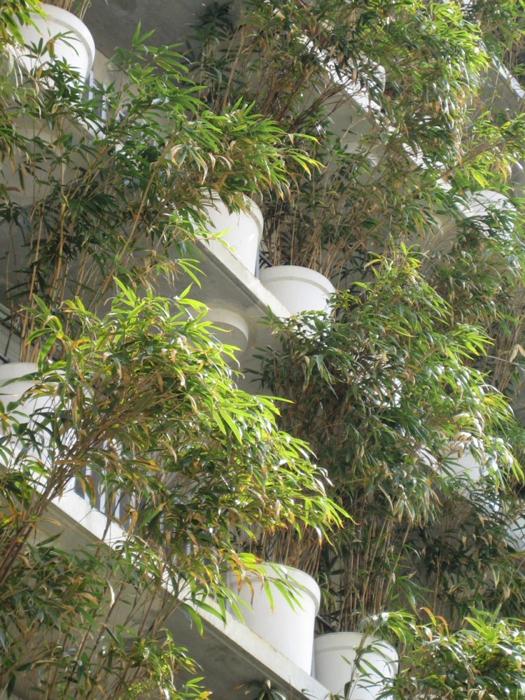 Flashback: Tower Flower / Edouard François