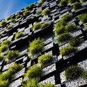 Green Cast / Kengo Kuma & Associates (4)