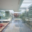 Glass House for Diver / naf architect & design (26) © Noriyuki Yano