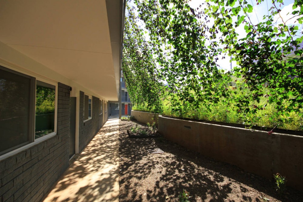 Eco Modern Flats / Modus Studio