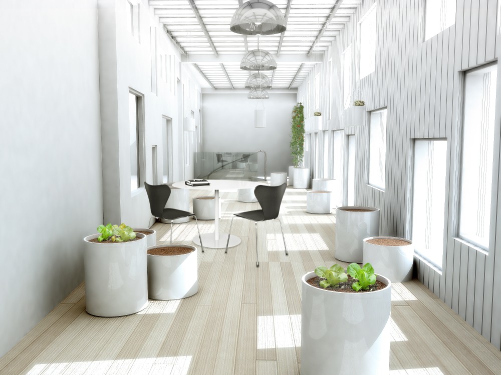 Urban Agri-puncture / Dylan Kwok