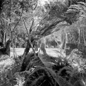 Architectural Photographers: Erietta Attali (4) Solano Benitez Four Vigas, Piribebuy. Paraguay © Erieta Attali