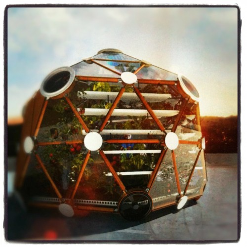 Globe/Hedron Rooftop Farm (1)
