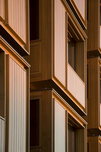 8_SouthSouthEast_StudentAccomodationSomervilleCollege02NiallMcLaughlinArchitects