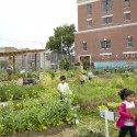 U.S. Pavilion at the Venice Architecture Biennale Announces Designers and Participants (2) U.S. Pavilion at the Venice Architecture Biennale Announces Designers and Participants (2) Edible Schoolyard by WORK Architecture Company - Photo by Raymond Adams