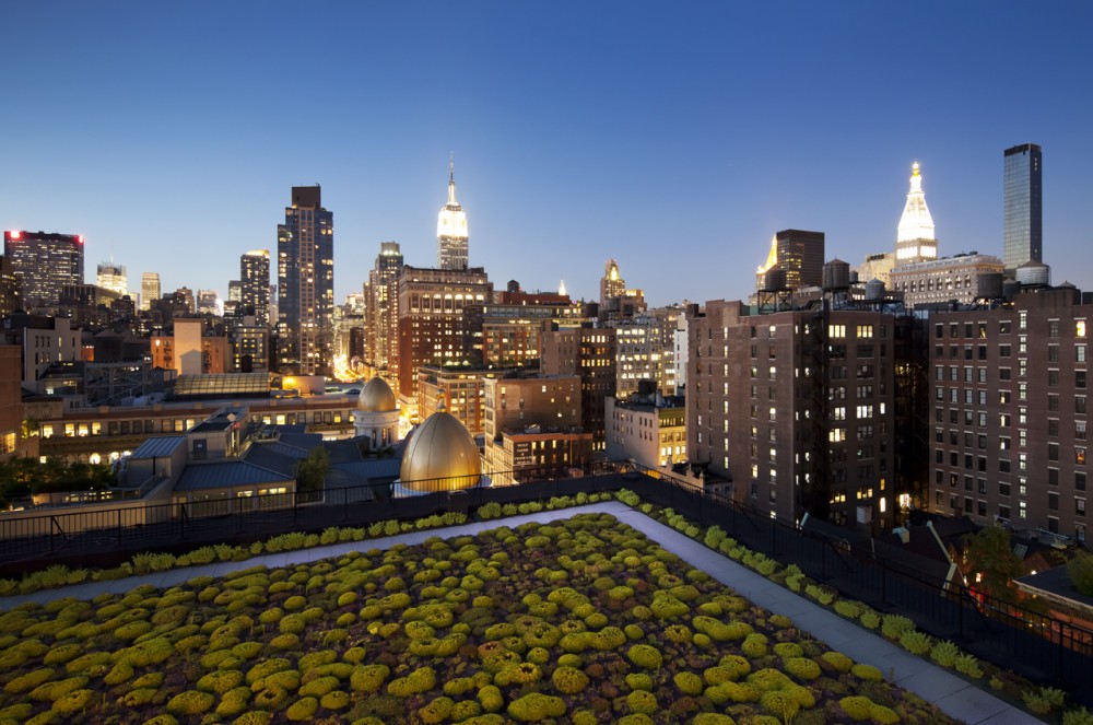 641 Avenue of the Americas / Cook + Fox Architects