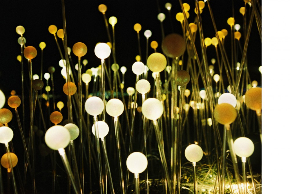 Bruce Munro announces plans for Solar Powered Field of Light at Uluru