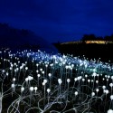 Bruce Munro announces plans for Solar Powered Field of Light at Uluru (4) Bruce Munro announces plans for Solar Powered Field of Light at Uluru (4) © Mark Pickthall