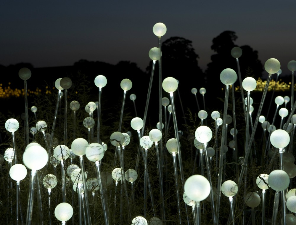 Bruce Munro announces plans for Solar Powered Field of Light at Uluru