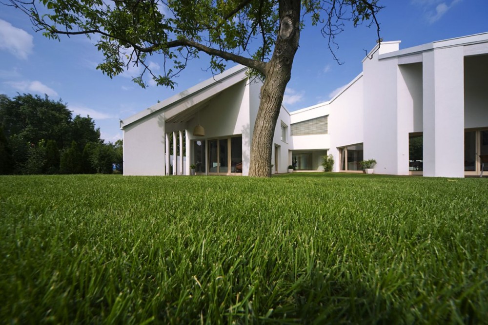 Summer House / Tamas Bulcsu + Eva Fortvingler