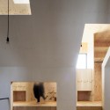 Ant-house / mA-style architects