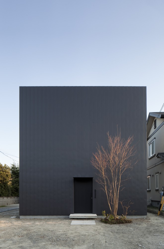 Ant-house / mA-style architects