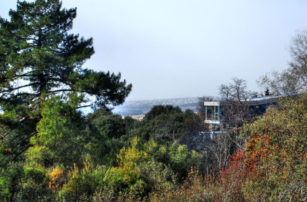 Ants’ House / Espegel – Fisac